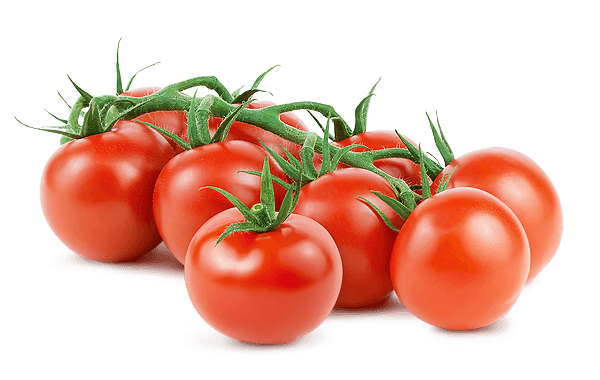 Fresh tomatoes